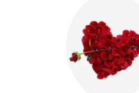 VALENTINE DEALS